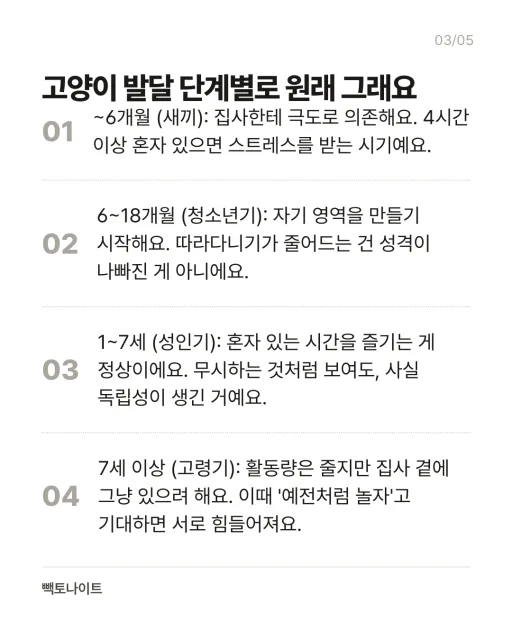 고양이가 날 싫어하는 것 같을 때 — 카드 3