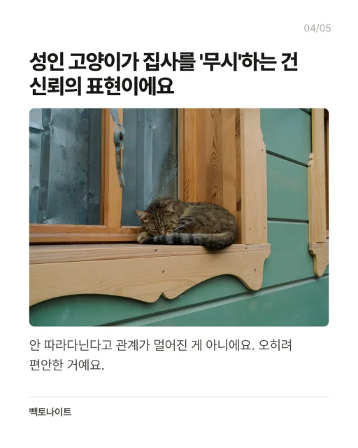 고양이가 날 싫어하는 것 같을 때 — 카드 4